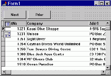    DataSet